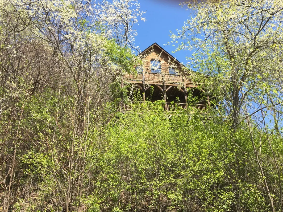 The exterior of a charming wooden house with a balcony, surrounded by lush greenery. The balcony offers views for sunrise watching and stargazing, while the house's design blends seamlessly with its forested setting, emphasizing privacy and immersion in nature.