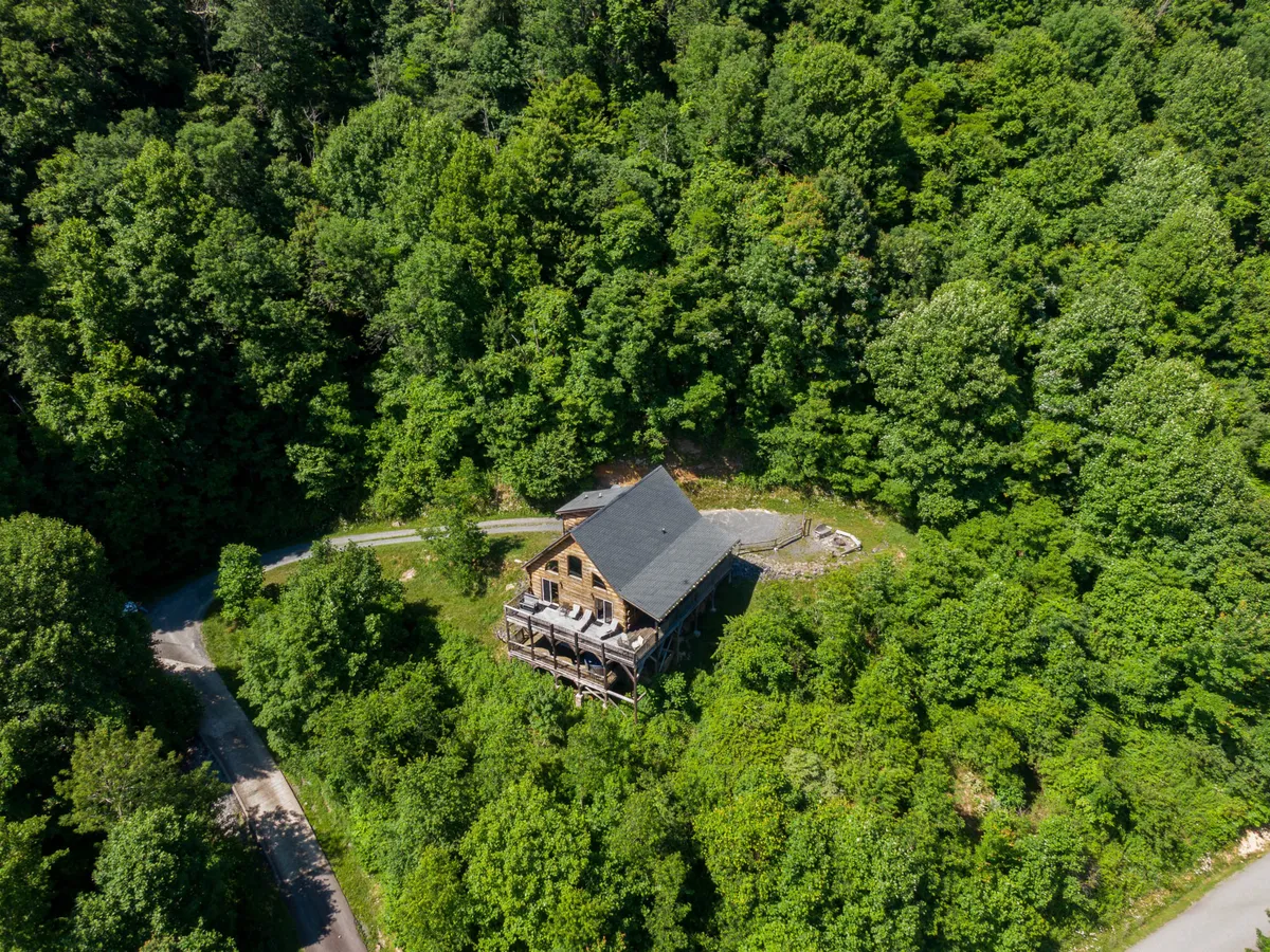 This image features the exterior of the home surrounded by lush mountain greenery and trees, with a welcoming front view and a road leading into the forest. The scene evokes the feeling of being at the gateway to mountain trails and adventure—ideal for exploring with pets.